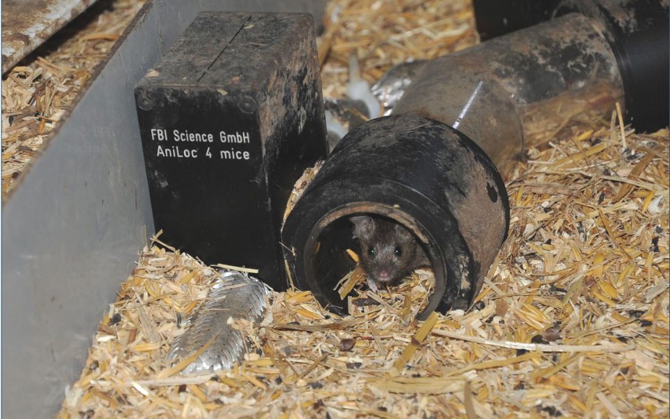 AniLoc Installation in einer Tierumgebung